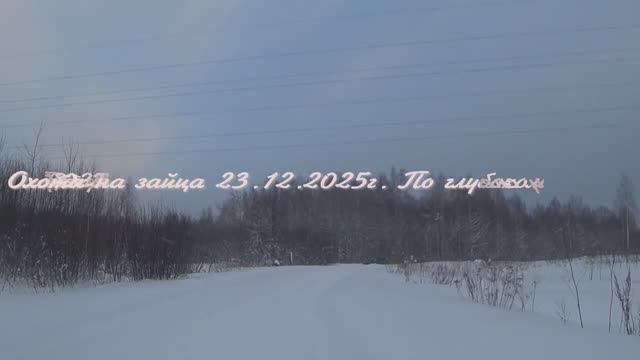 Охота на зайца 23.12.2025г.