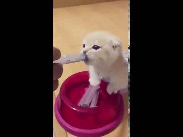 Милашка! Не пропустите! смотреть онлайн