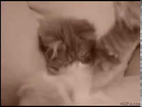 Не пойду сегодня на работу! смотреть онлайн