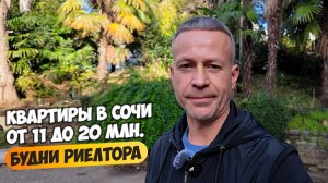 Квартиры в Сочи от 11 до 20 млн ₽. Будни риелтора. Реальные варианты.