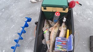 ПЕРВЫЙ ЛЁД на ОКЕ 2025-2026! ЛОГОВО КРУПНЫХ СУДАКОВ! Ловля СУДАКА на вибы на ОКЕ!