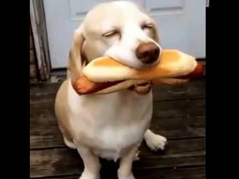 Кому гамбургер? Угощаю! смотреть онлайн