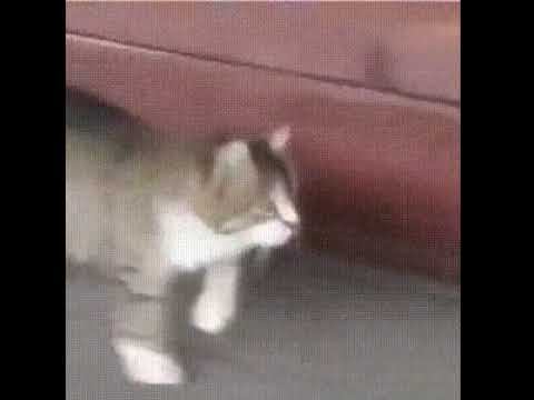 Спортивная ходьба... смотреть онлайн