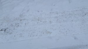 Мицубиси Лансер