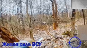 Расчеты FPV Северян отражают атаки ВСУ в Сумской и Харьковской обл.