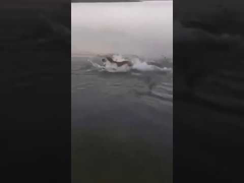 Блинчики... смотреть онлайн