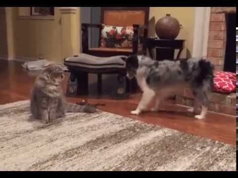 Граница! смотреть онлайн