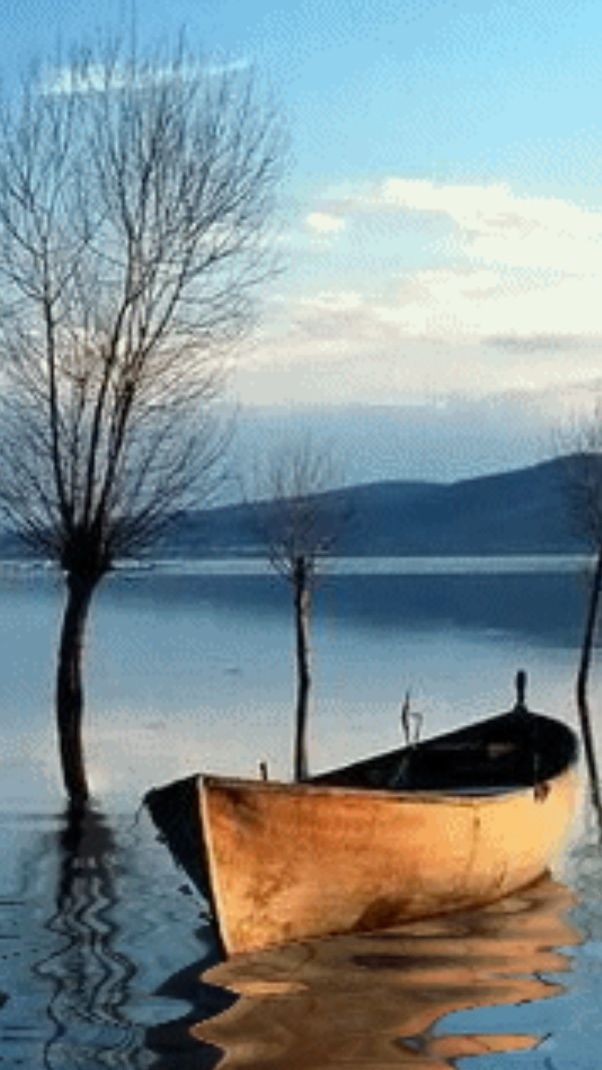 Кто хочет ... смотреть онлайн