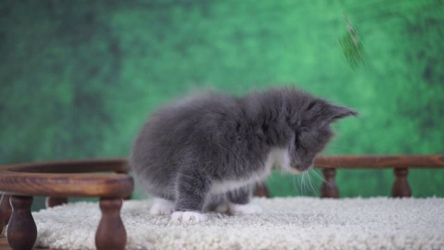 Winter 1,5 месяца смотреть онлайн