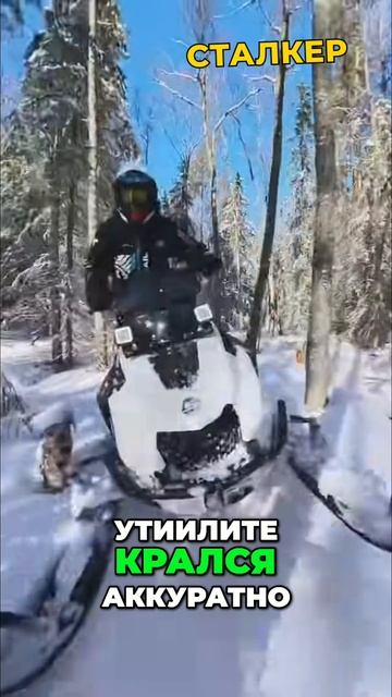 Прошаренные Снегоходчики не Суются в лес, Остальные БЕЗ Башни Едут смотреть онлайн