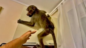 Этого ЖДАЛИ ВСЕ! Люся идет домой к Анфисе и УСТРАИВАЕТ ПОГРОМ!!!