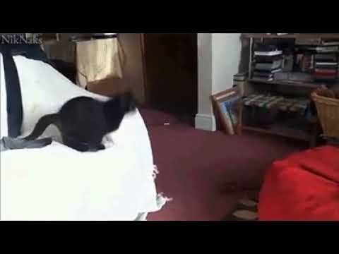 Лепешечка смотреть онлайн