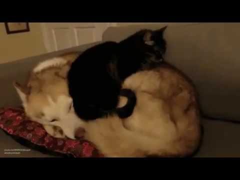 Удобный диванчик смотреть онлайн