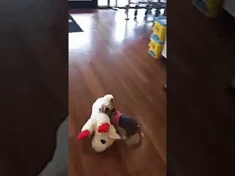 Сбылась мечта смотреть онлайн