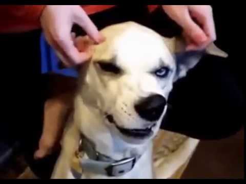 Супер способности! смотреть онлайн