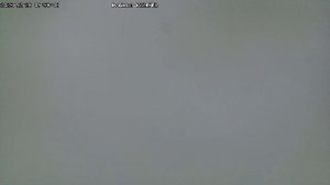 LIVE: channel43489494