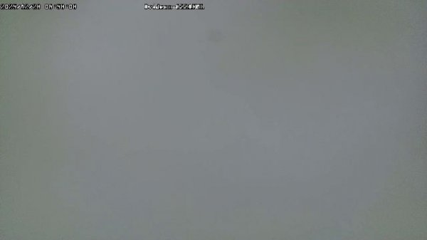 LIVE: channel43489494