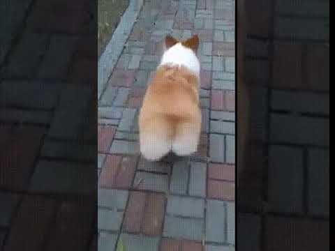 Вот это неожиданность! смотреть онлайн