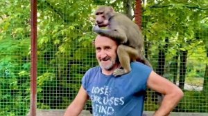 Влад и Люся СЧАСТЛИВЫ ВМЕСТЕ, но без Елисея Люся уже тоже не может, ей его не хватает)))