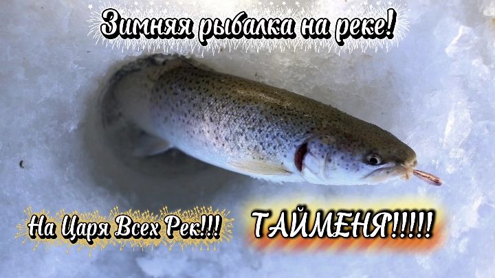 Зимняя Рыбалка Декабря 2025-2026! На Хариуса и ЦАРЯ ВСЕХ РЕК - ТАЙМЕНЯ!!!!! смотреть онлайн