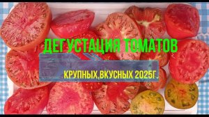 Самые вкусные самые крупные сорта томатов дегустация