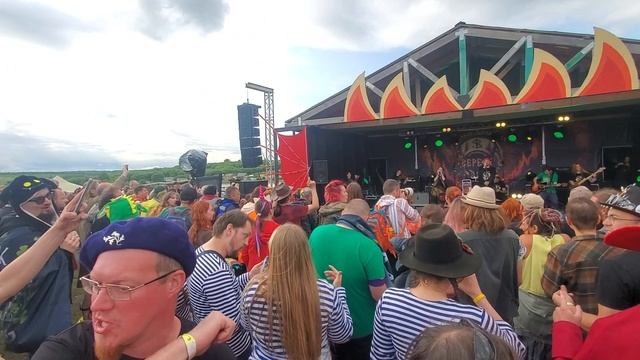 Мой кот пришёл назад