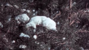 Зимняя прогулка.1980.