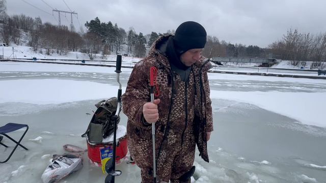 Онлайн с Основного водоёма смотреть онлайн