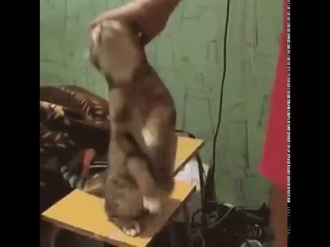 Психология... смотреть онлайн