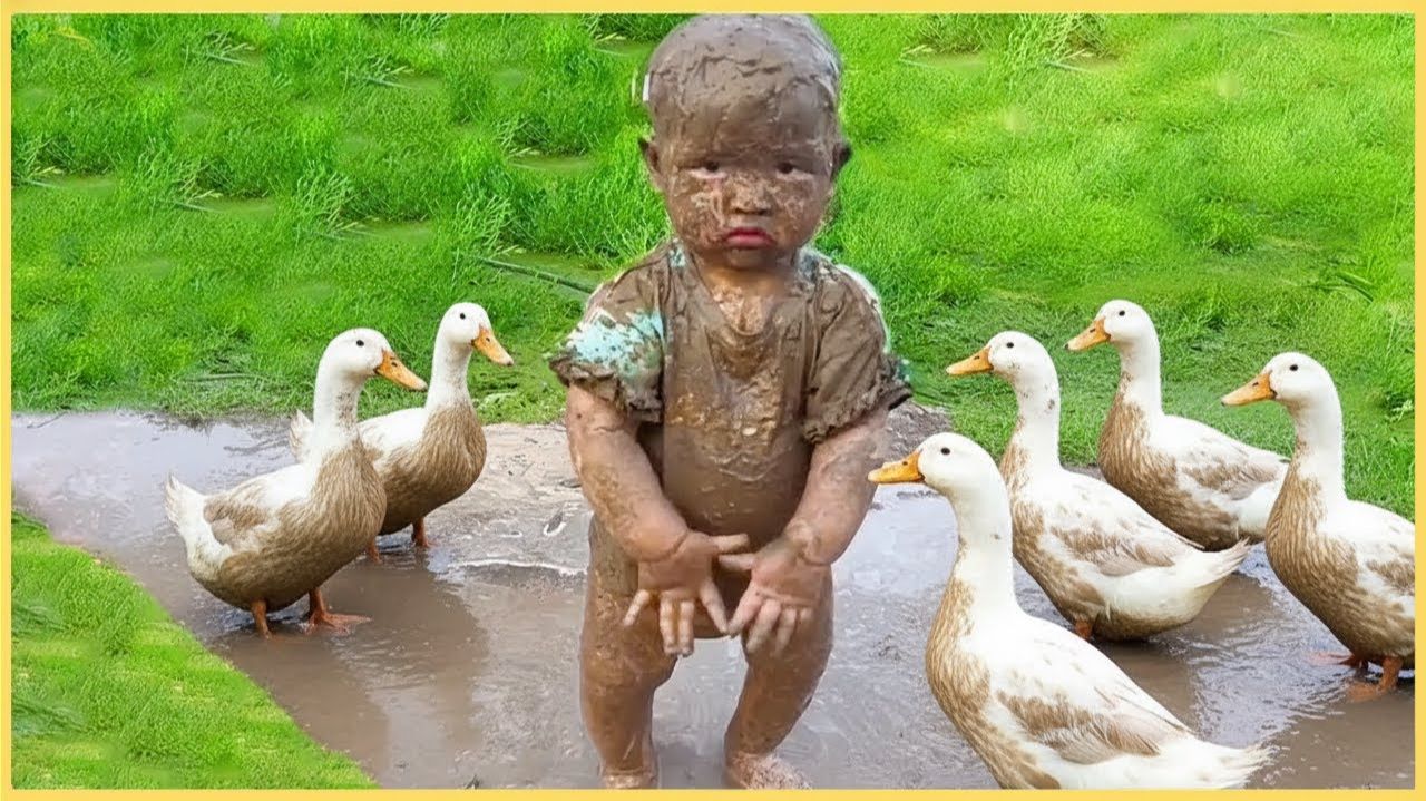 Веселая Реакция Ребенка На Сельскохозяйственных Животных - Забавное Детское Видео, Мини-Комедия смотреть онлайн
