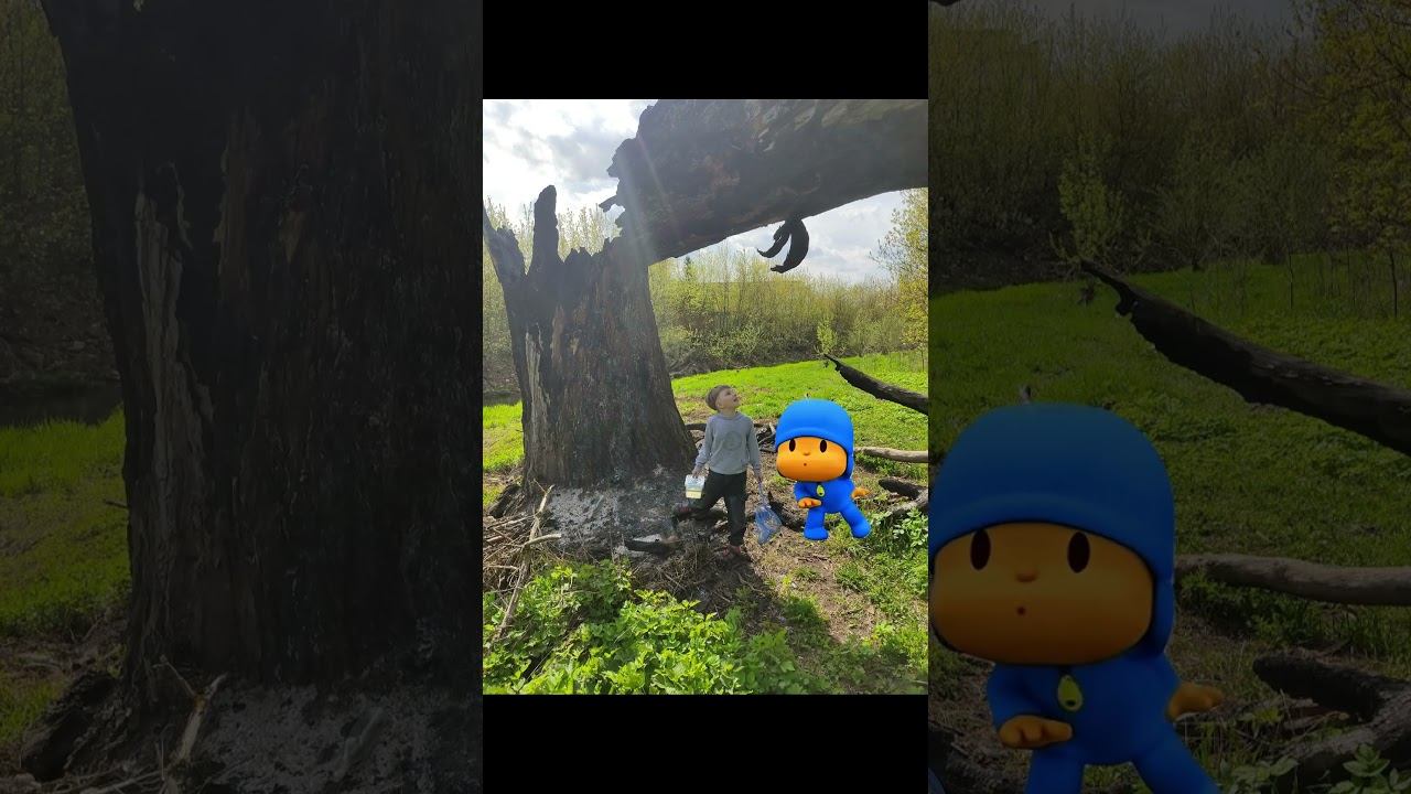 Pocoyo Dance My Family  2