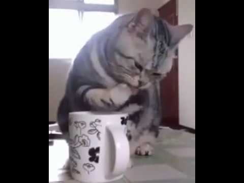 Невероятный способ! А Вы так пробовали? смотреть онлайн