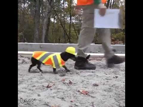 Бригада! смотреть онлайн