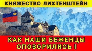 Приключения украинцев в Лихтенштейне! Колобок из Одессы от 25.12.2025