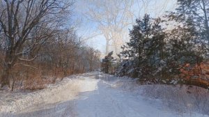 Пусть вам в жизни повезёт!