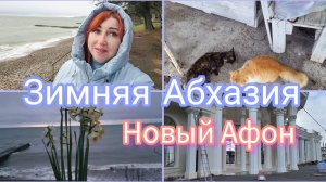 Отдых в Абхазии зимой/ Новый Афон 28 декабря погода / Дела житейские/ Вот уж эта челочка 😊