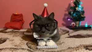 [УКРАИНА] Котинет. Новогодний Выпуск - #1