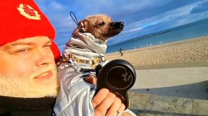 Евпатория 2026