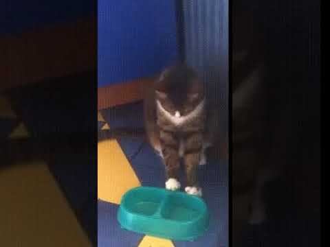 Еды пожалуйста! смотреть онлайн