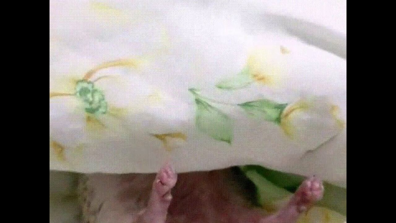 А чьи это лапки! Невероятно! Улыбчивый ежик! смотреть онлайн