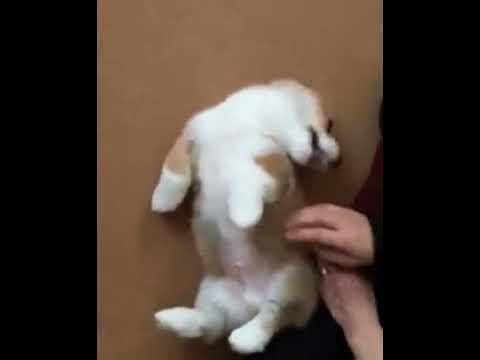 Хочу еще.... смотреть онлайн