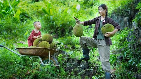 Мать-одиночка, 17 лет. Собирает плоды хлебного дерева и готовит из них вкусные блюда. смотреть онлайн