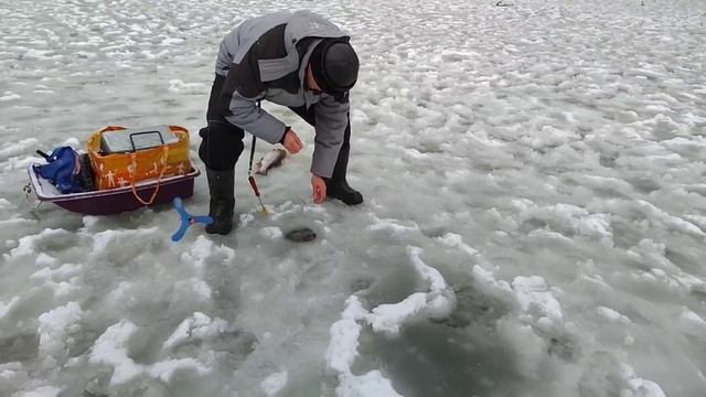 Форель.Основной водоём смотреть онлайн
