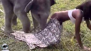 Жутко, Но Реально! Если бы Это не Сняли На Камеру, Никто Бы не Поверил!