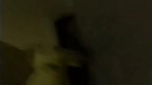 вся музыка бактерии