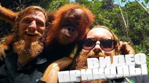 ВИДЕОПРИКОЛЫ \ КРУТЫЕ ПРИКОЛЫ 2025 \ НОВЫЕ ПРИКОЛЫ \ СМЕШНЫЕ ПРИКОЛЫ 2025 ЮМОР