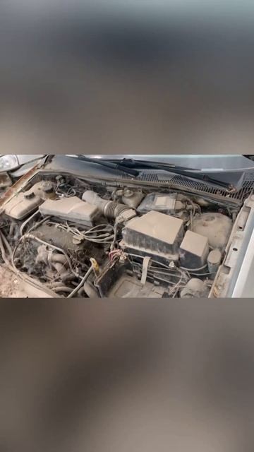 Форд фокус 1 запускаем после 8 лет простоя