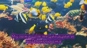 Музыка для медитации и глубокого сна, звуки глубин океана. 🐠🐟🐡