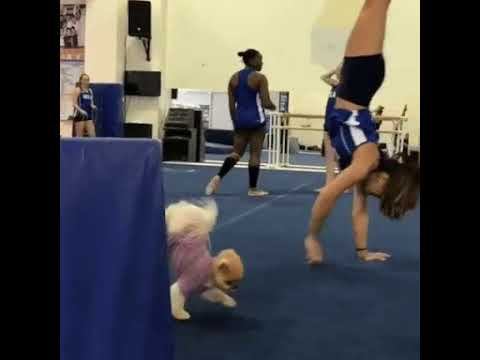 Дует смотреть онлайн