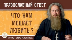 Что нам мешает любить ?  Игумен Лука (Степанов)